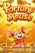 Fortune Mousse en 7AA COM